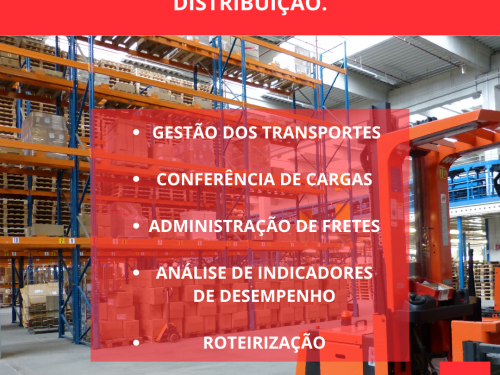 As Cinco Etapas Essenciais para a Logstica de Distribuio de Sucesso
