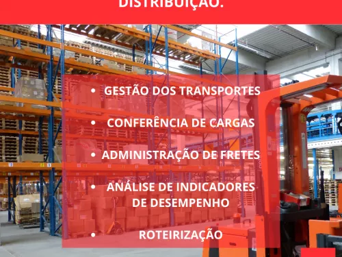 As Cinco Etapas Essenciais para a Logística de Distribuição de Sucesso